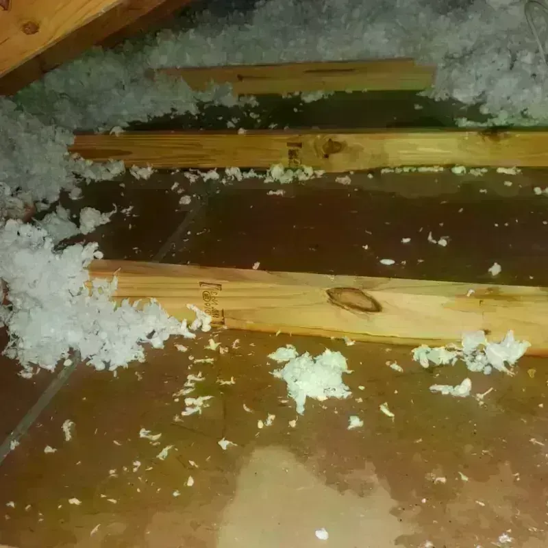 Attic Water Damage in Chincoteague, VA